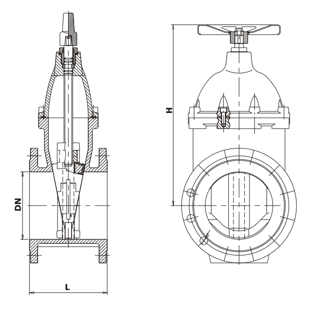 Resilient Seated Gate Valve with cap