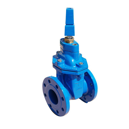 Gate Valve