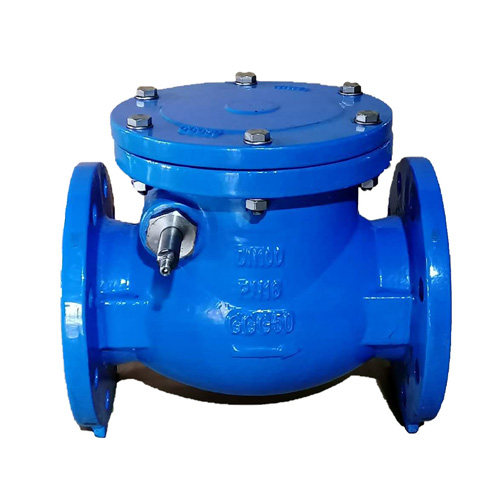 Swing Check Valve