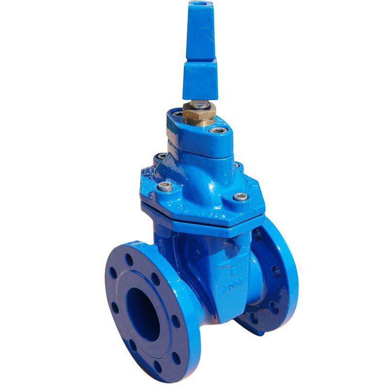 Gate Valve