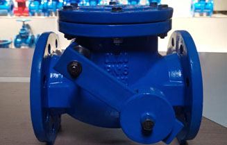 Differences Between a Backflow Preventer and a Check Valve